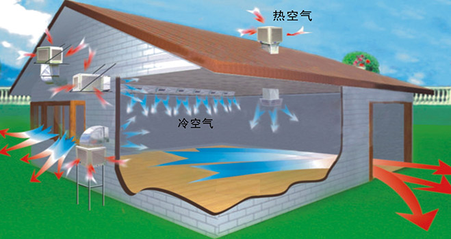 环保空调阳江海大集团养殖场案例